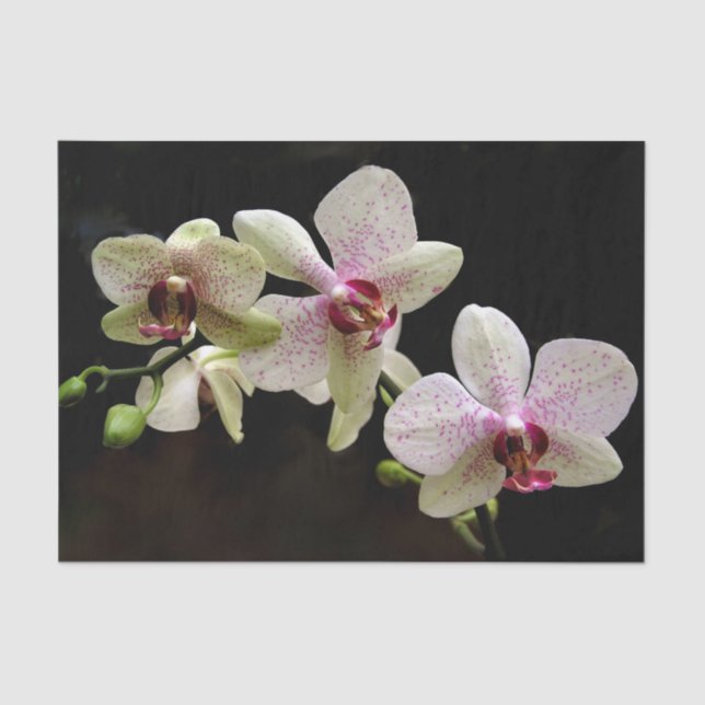 Seda papel de tejido de flores tropicales (Anverso)