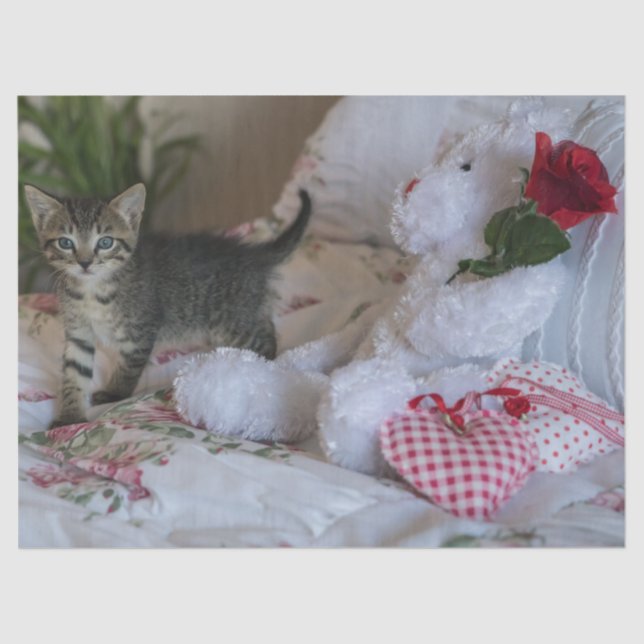 Seda papel de tejido de gatito valentino (Anverso)