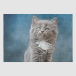 Seda papel de tejido de gato tormentoso
