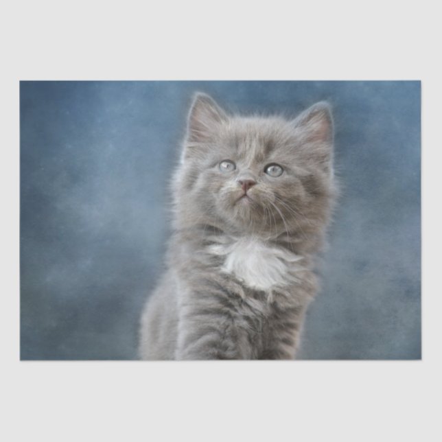 Seda papel de tejido de gato tormentoso (Anverso)