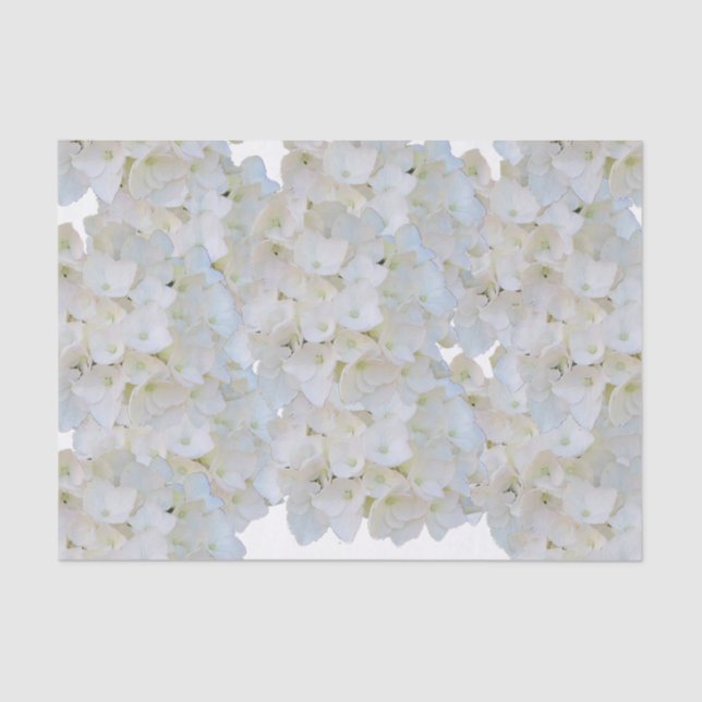 Seda Papel de tejido de hidrangeas blancas (Anverso)