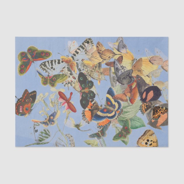 Seda Papel de Tejido de la FLECHA DE LA BOTELLA (Anverso)