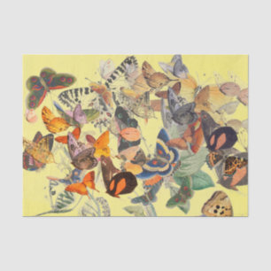 SEDA PAPEL DE TEJIDO DE LA MARIPOSA EN AMARILLO