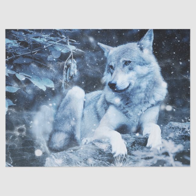 Seda papel de tejido de lobo azul (Anverso)