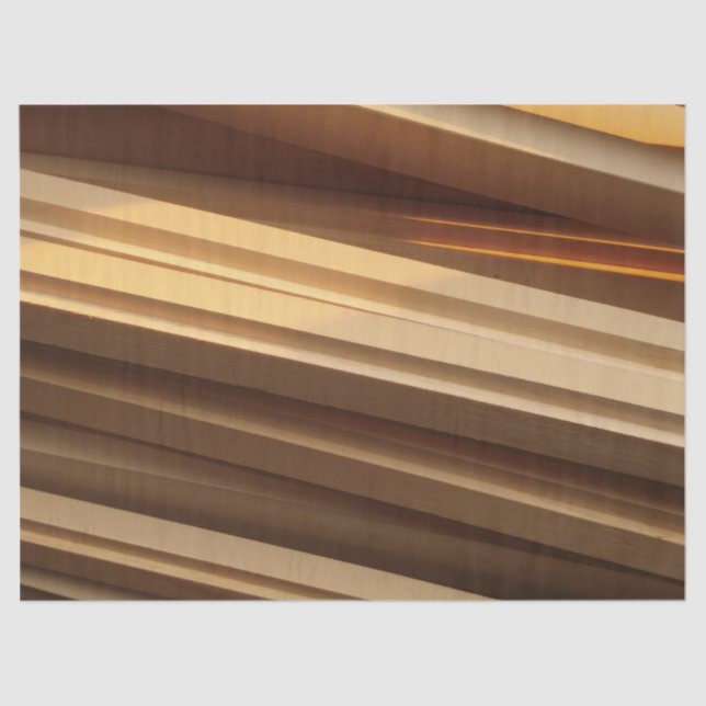 Seda papel de tejido de madera mixta (Anverso)