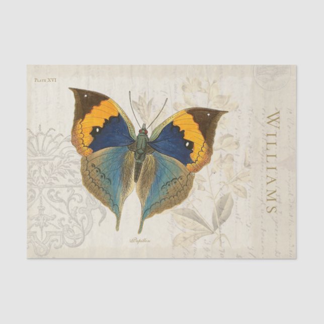 Seda Papel de tejido de mariposa azul y Naranja (Anverso)