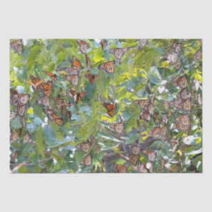 Seda Papel de tejido de mariposa monarca
