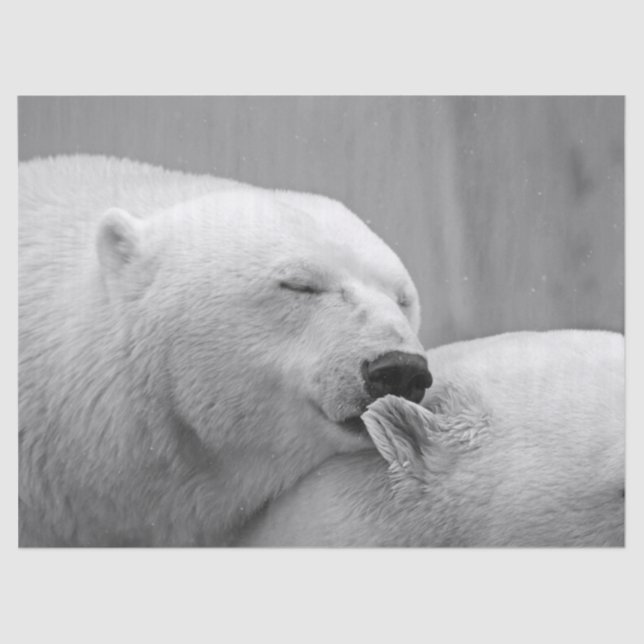 Seda papel de tejido de osos polares (Anverso)