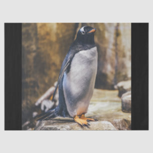 Seda papel de tejido de pingüino solitario