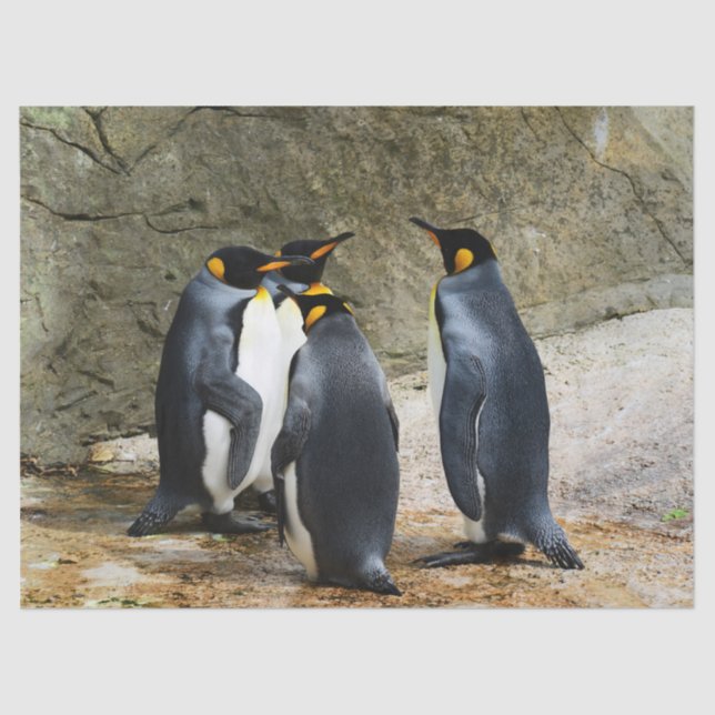 Seda papel de tejido de reunión de pingüinos (Anverso)