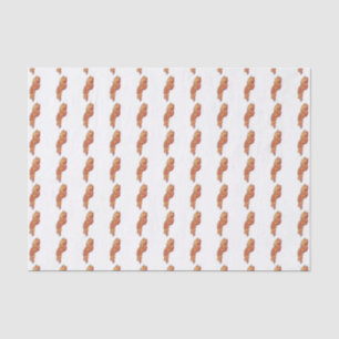 Seda Papel de Tejido de Tocino