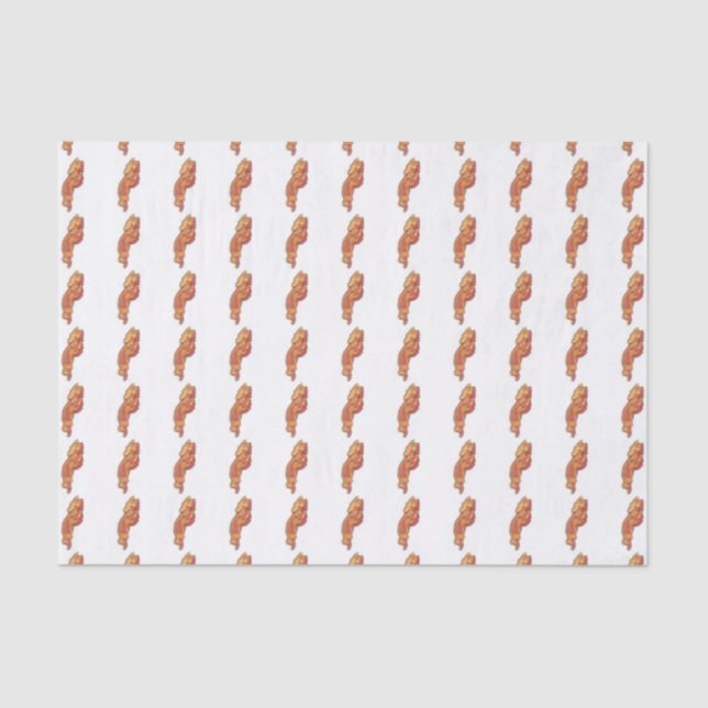 Seda Papel de Tejido de Tocino (Anverso)