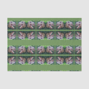 Seda Papel de tejido decorativo Dinosaurio