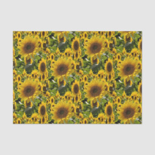 Seda Papel de tejido decorativo Girasol