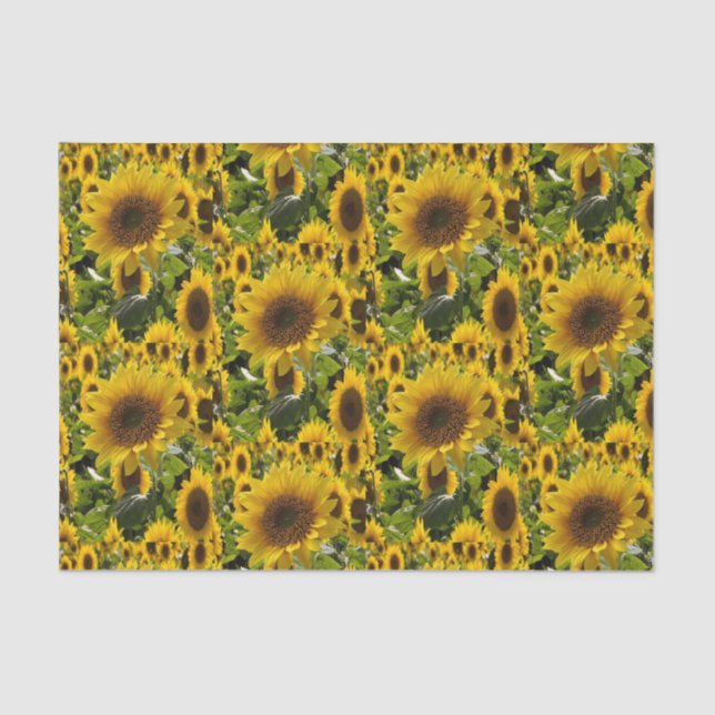 Seda Papel de tejido decorativo Girasol (Anverso)