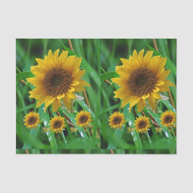 Seda Papel de tejido decorativo Girasol (Anverso)