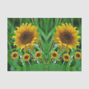 Seda Papel de tejido decorativo Girasol