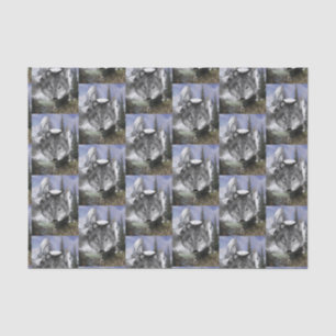 Seda Papel de tejido decorativo Wolf