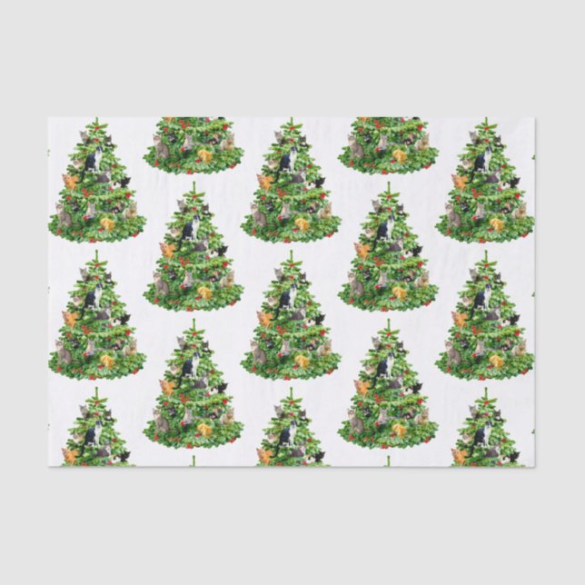 Seda Papel de tejido del árbol del gato (Anverso)