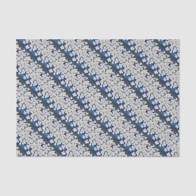 Seda Papel de tejido diagonal de pinzas (Anverso)