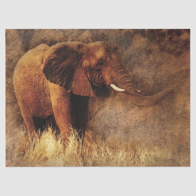 Seda papel de tejido elefante de safari (Anverso)