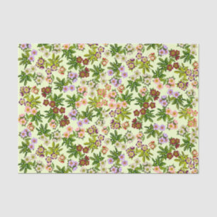 Seda Papel de tejido floral de Rosa de Cuaresma