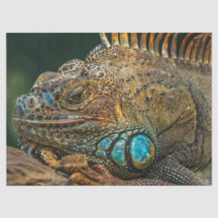 Seda papel de tejido lagarto reptil