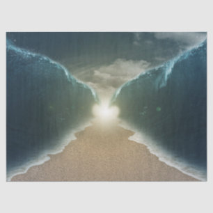 Seda papel de tejido marino rojo