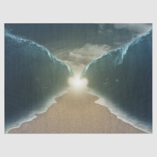 Seda papel de tejido marino rojo (Anverso)