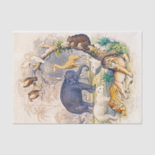 Seda Papel de tejido o descomposición de animales de la