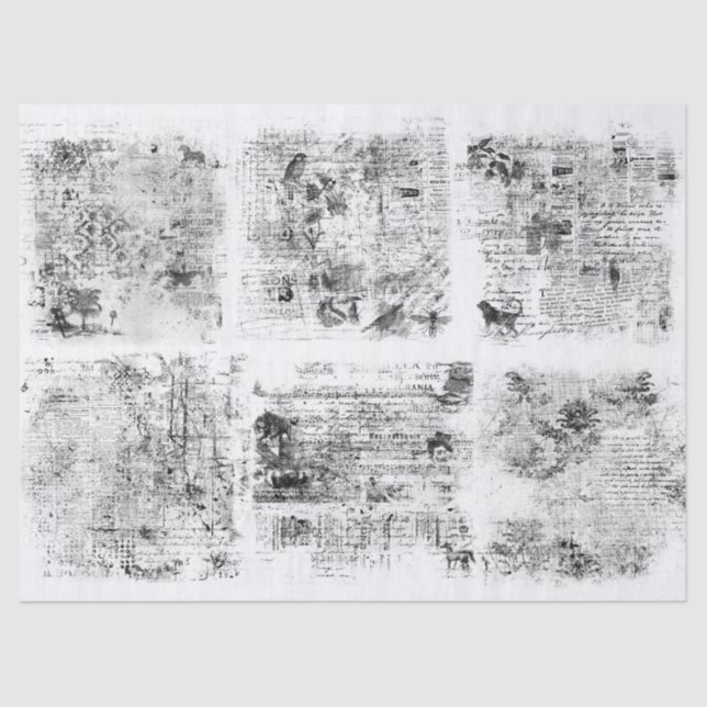 Seda Papel de Tejido o Descomposición de Efema Vintado (Anverso)