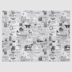 Seda Papel de tejido o descomposición de Ilustraciones