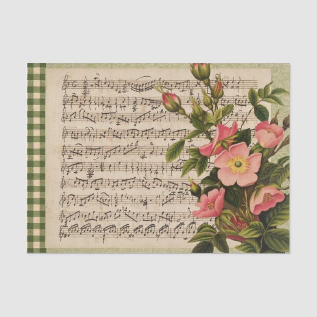 Seda Papel de tejido para comprobación de la música de  (Anverso)