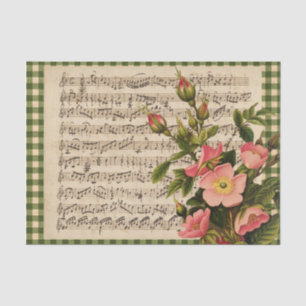 Seda Papel de tejido para comprobación de la música de 