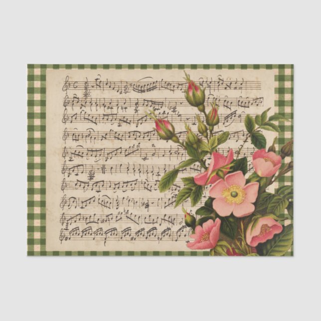 Seda Papel de tejido para comprobación de la música de  (Anverso)