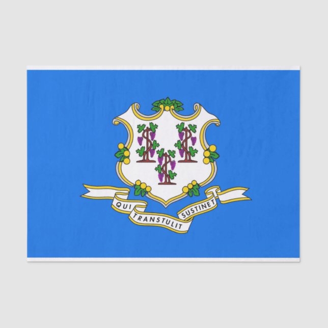 Seda Papel de tejido patriótico con bandera de Connecti (Anverso)