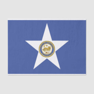 Seda Papel de tejido patriótico con bandera de Houston