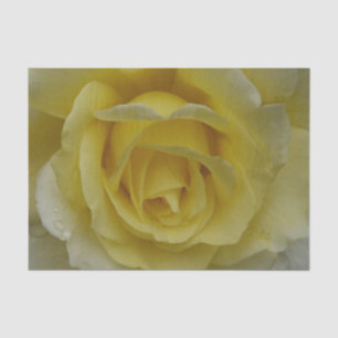 Seda Papel de tejido rosa amarillo