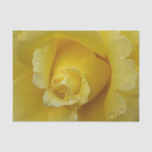 Papel de tejido rosa amarillo