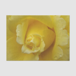 Seda Papel de tejido rosa amarillo