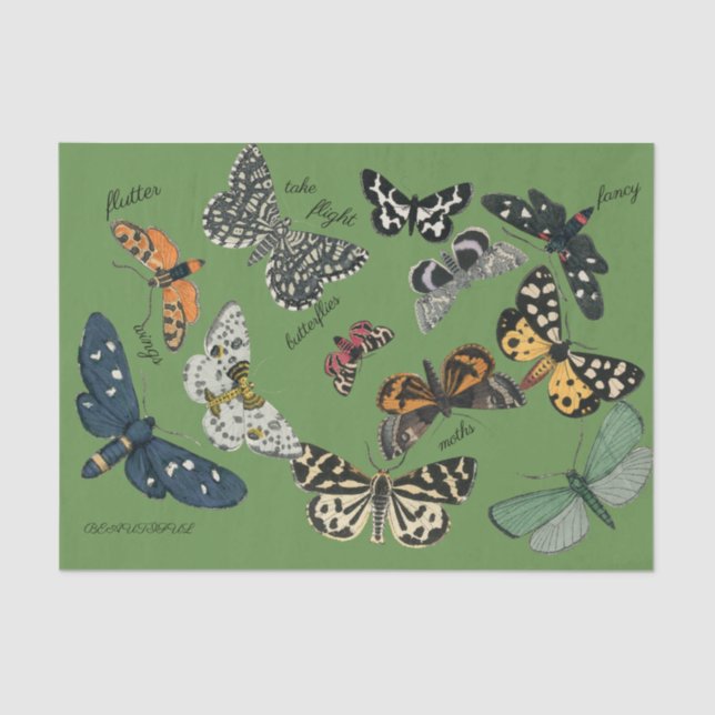 Seda papel de tejido verde mariposa de 18 lb (Anverso)