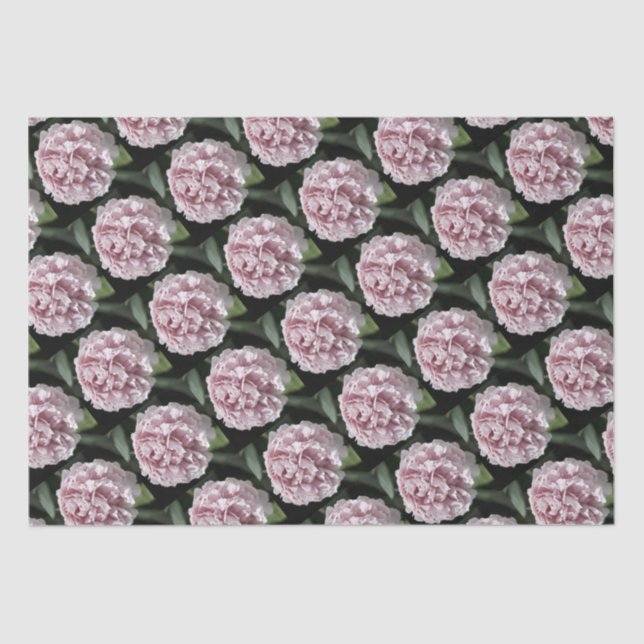 Seda Papel de tejidos 2 sábanas Bonita Peonía Rosa  (Anverso)