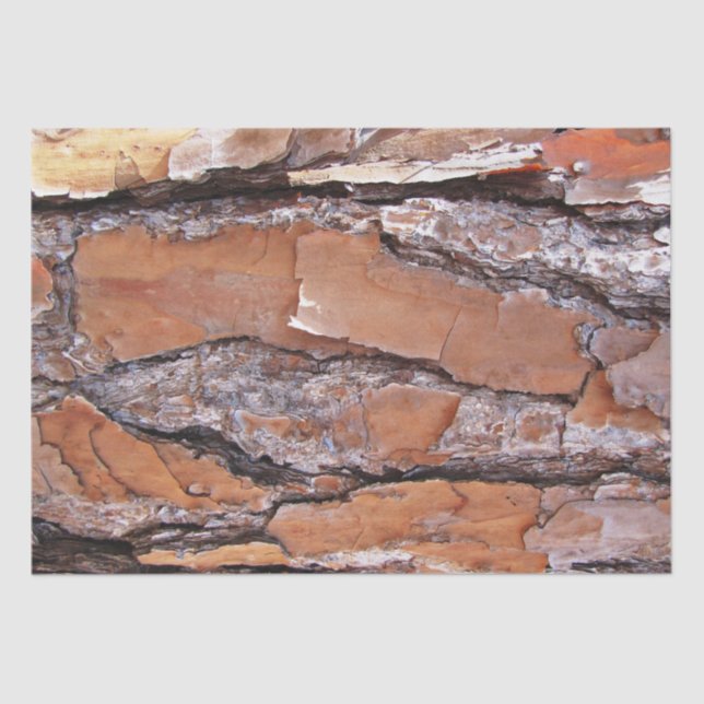 Seda Papel de tejidos- Barba de pino (Anverso)