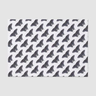 Seda Papel de tejidos Black Swallowtails