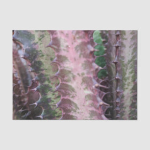 Seda Papel de tejidos Cactus