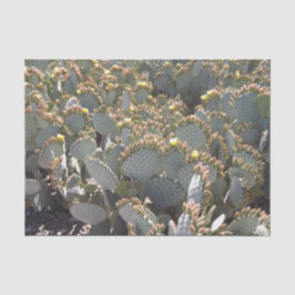 Seda Papel de tejidos Cactus