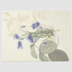Seda Papel de tejidos Campanula Vintage