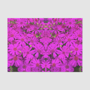 Seda Papel de tejidos con aguijones rosados/morados bri