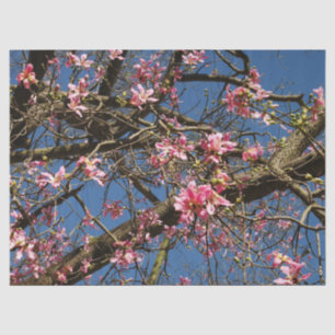 Seda Papel de tejidos con burbujas de árboles de flotac