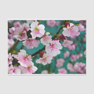 Seda Papel de tejidos con flores de cerezo